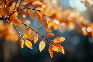 ensoleillé l'automne scène avec vibrant Jaune feuilles sur branches ai généré photo