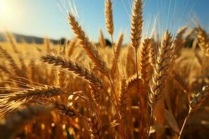 abondant oreilles de blé balancement dans une d'or céréale champ, incorporant agriculture ai généré photo