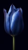 bleu tulipe tulipa fleur fond d'écran Contexte. ai généré photo