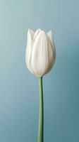 blanc tulipe fleur copie espace flou Contexte. ai généré photo