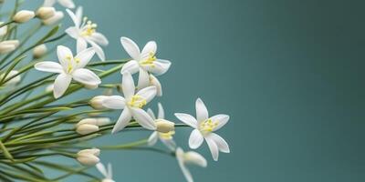 beauté anthérique blanc fleur, jardin décoration, copie espace arrière-plan, ai généré photo