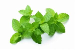 menthe feuilles isolé sur blanc Contexte. génératif ai photo