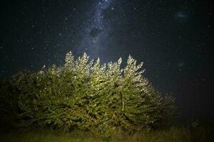 pampa paysage photographié à nuit avec une étoilé ciel, la la pampa province, patagonie , Argentine. photo