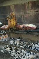 diriger Viande sur le gril, traditionnel argentin cuisine, asado barbecue, patagonie, Argentine. photo