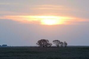 pampa le coucher du soleil paysage, la pampa, Argentine photo