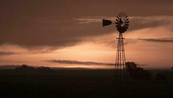 pampa le coucher du soleil paysage, la pampa, Argentine photo