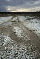 salpêtre sur le sol de une lagune dans une semi désert environnement, la la pampa province, patagonie, Argentine. photo