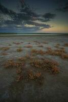 salpêtre sur le sol de une lagune dans une semi désert environnement, la la pampa province, patagonie, Argentine. photo