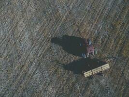 tracteur et semoir, direct semis dans le pampa, Argentine photo