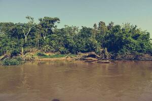 pantanal forêt écosystème, mato grossièrement, Brésil photo