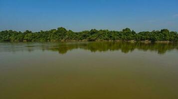 pantanal forêt écosystème, mato grossièrement, Brésil photo