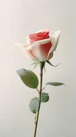 blanc Rose fleur copie espace flou Contexte. ai généré photo
