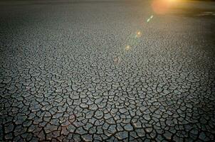 cassé sol dans pampa environnement , patagonie, Argentine. photo