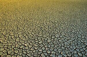 cassé sol dans pampa environnement , patagonie, Argentine. photo