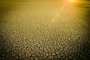 cassé sol dans pampa environnement , patagonie, Argentine. photo