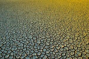 cassé sol dans pampa environnement , patagonie, Argentine. photo