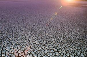 cassé sol dans pampa environnement , patagonie, Argentine. photo