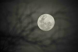 lever de lune , plein lune dans le ciel, patagonie, Argentine photo