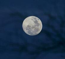 lever de lune , plein lune dans le ciel, patagonie, Argentine photo