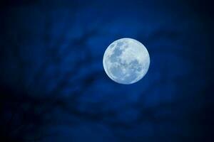 lune dans le nuit ciel , Contexte photo