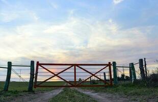 champ passerelle dans campagne, patagonie , Argentine photo