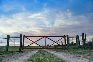 champ passerelle dans campagne, patagonie , Argentine photo