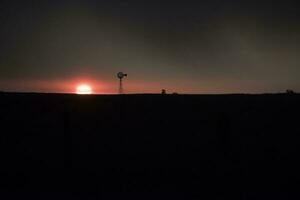 pampa le coucher du soleil paysage, la pampa, Argentine photo