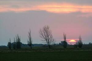 pampa le coucher du soleil paysage, la pampa, Argentine photo