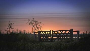 champ passerelle dans campagne, patagonie , Argentine photo