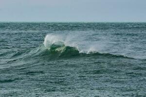 vagues dans le océan, patagonie photo