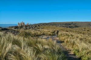 quebrada del condorito nationale parc, cordoue province, Argentine photo