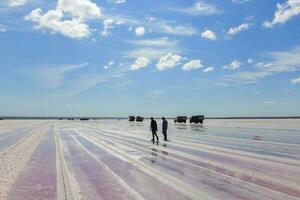salé lagune préparé à extrait brut sel, exploitation minière industrie dans Argentine photo