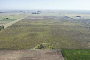 cultivé des champs dans le pampa région, Argentine. photo