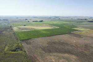 cultivé des champs dans le pampa région, Argentine. photo