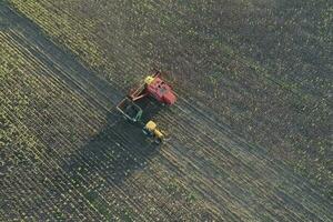 moissonneuse machine, récolte dans le argentin campagne, buenos aires province, Argentine. photo