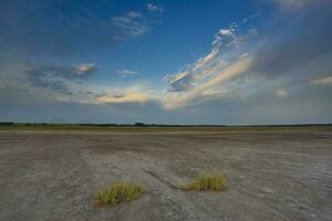 désert environnement dans la la pampa province, patagonie, Argentine. photo