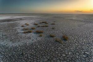 cassé sec sol dans une pampa lagune, la la pampa province, patagonie, Argentine. photo