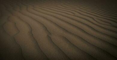 dune paysage, la la pampa , Argentine photo