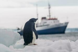 expédition bateau, croisière dans antarctique paysage, paulette île, près le antarctique péninsule photo