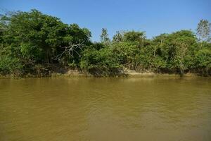 rivière paysage et jungle, pantanal, Brésil photo