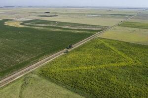 cultivé des champs dans le pampa région, Argentine. photo