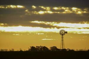 paysage avec Moulin à vent à coucher de soleil, pampa, Patagonie, Argentine photo