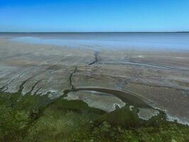 sel mien dans la pampa, Argentine photo