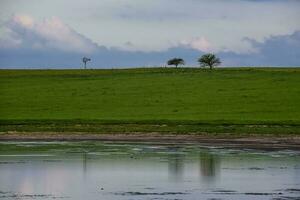 rural paysage, buenos aires Province , Argentine photo