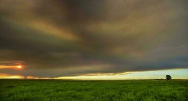 fumée nuage Feu dans la pampa, Argentine photo