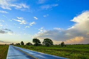 route dans le pampa plaine, patagonie, Argentine photo