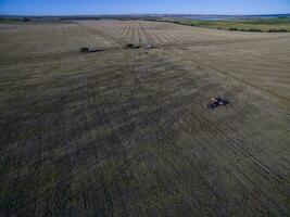 tracteur y maquinaria agricole , sembrando, la pampa, Argentine photo