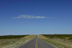 route dans le pampa plaine, la la pampa province, patagonie, Argentine photo