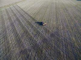 tracteur et semoir, direct semis dans le pampa, Argentine photo