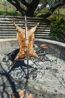 agneau sur le cracher, cuit avec le traditionnel argentin méthode, la la pampa province, patagonie, Argentine. photo